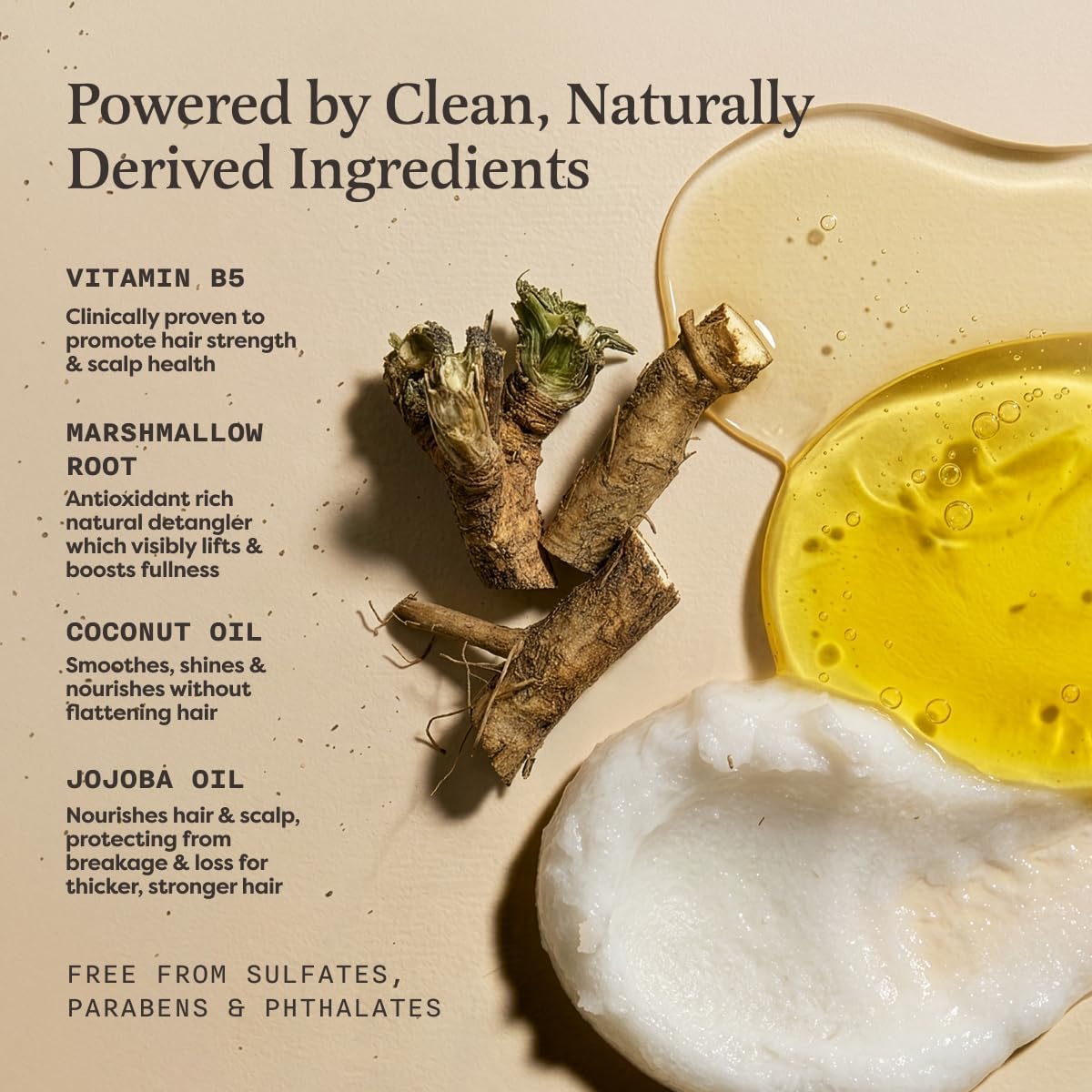 The Earthling Co. Shampoo & Conditioner Bar Set - Promote Hair Growth, Strengthen & Volumize All Types - Paraben & Sulfate Free Formula With Natural Ingredients for Dry Hair (Citrus Sun) - Image 4